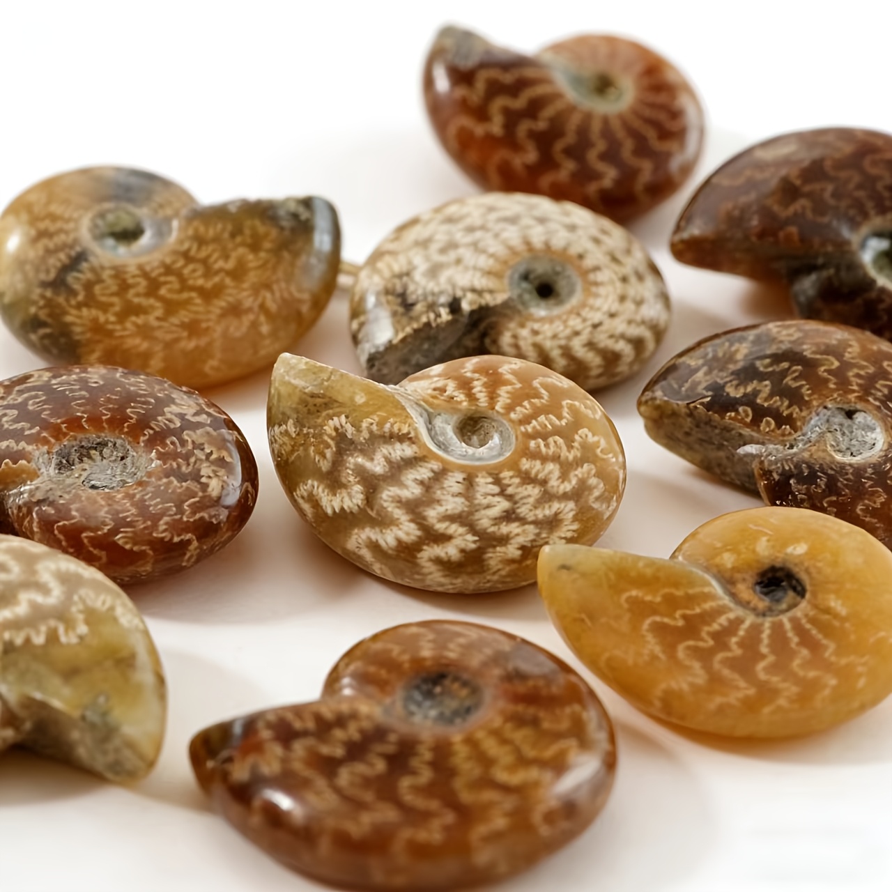 Hand-Carved Natural Chrysanthemum Stone, Seashell-Shaped Decoration