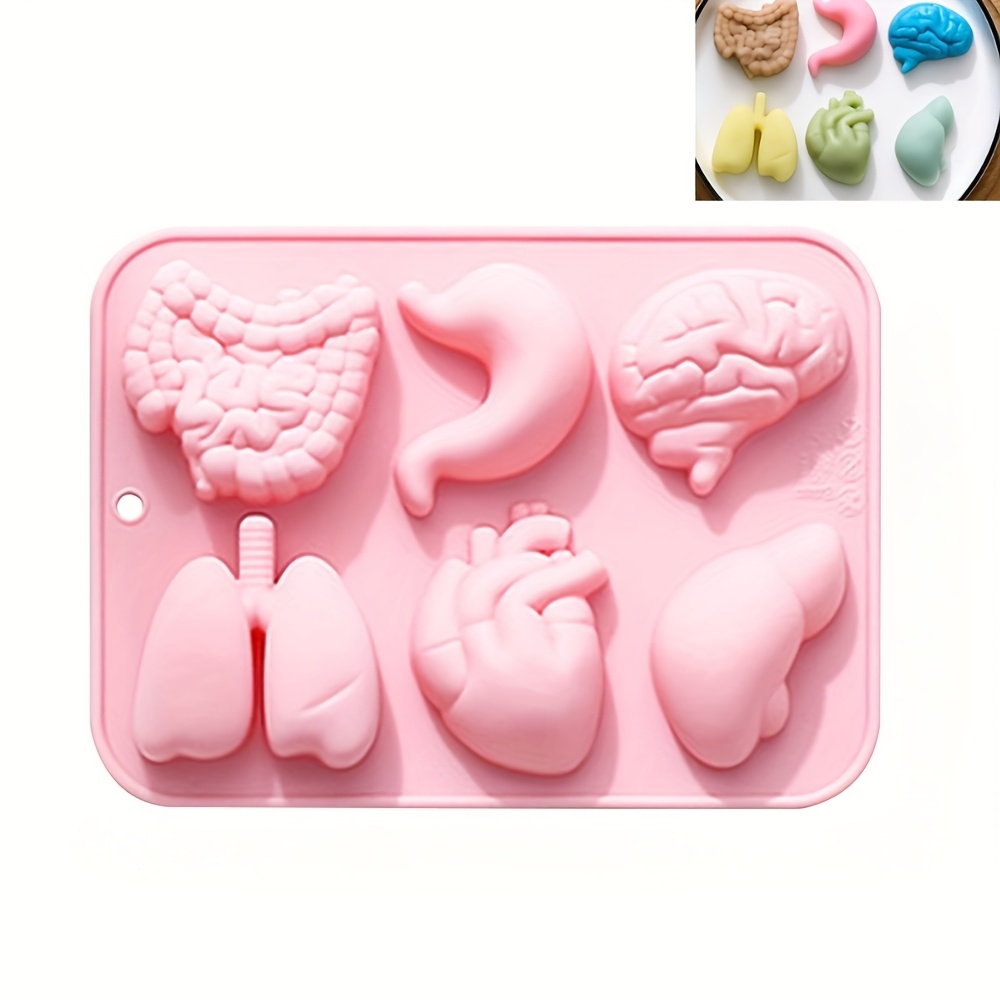 

Diy Internal Organ Molds Human Organ Molds 6 Different Shapes In A Row, Clay, Soap, Candle Making Molds, Drip Glue Templates, Filming Props, Teaching Samples Mold-making