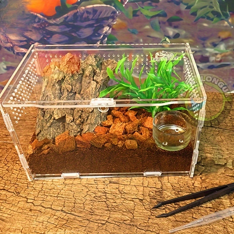 

For & Insects - , Ventilated Clear Lid