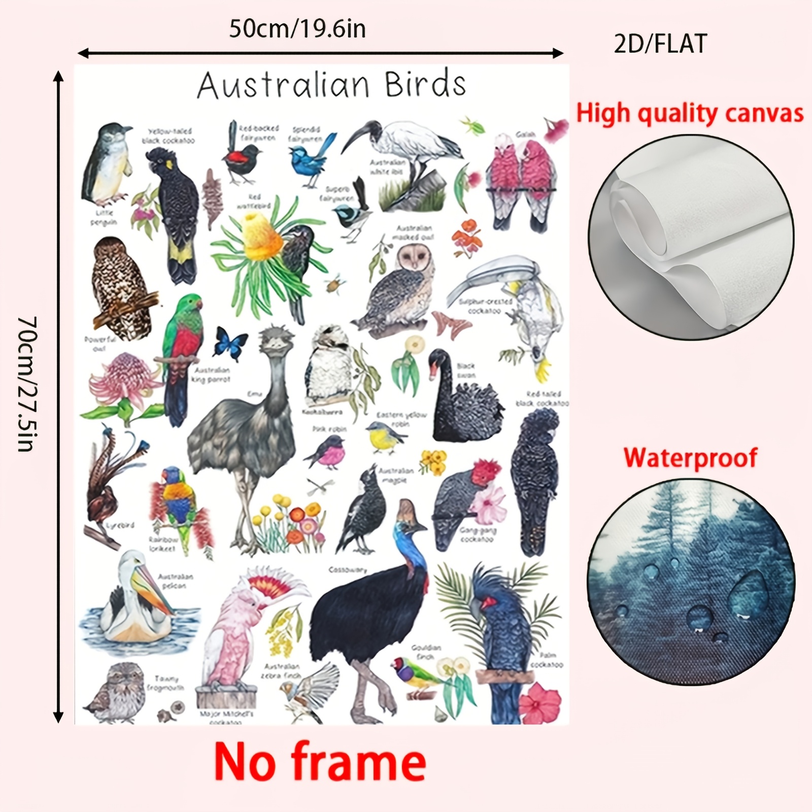 TEMU 2d Flat, 1pc Frameless Australian Bird Guide Canvas Painting - Suitable For Study Room & Wall Decor, Educational Bird Chart Art With Australian