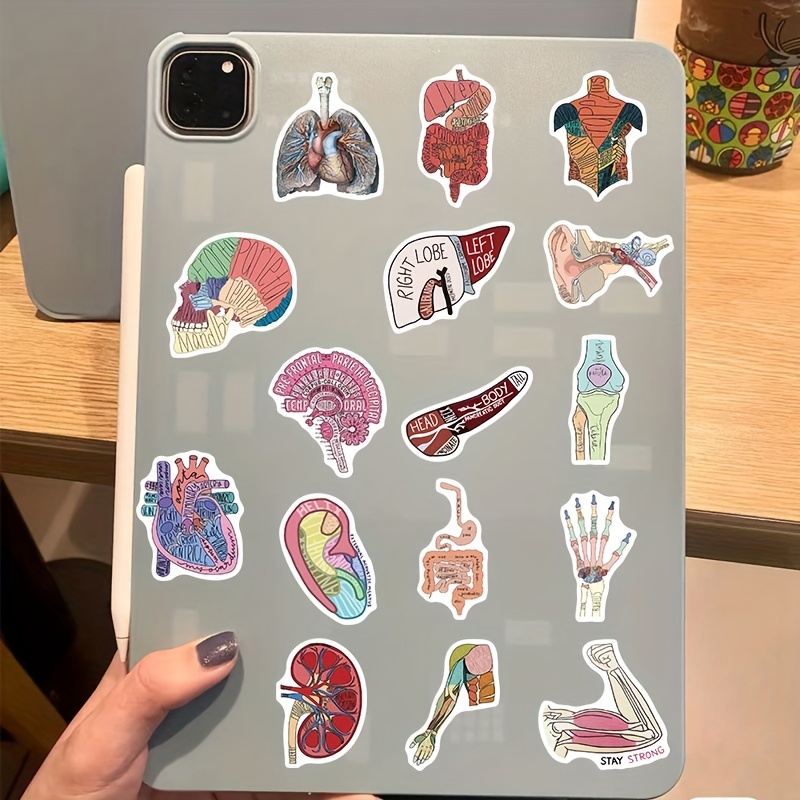 

50pcs Multicolored Human Body Construction Doodle Stickers Medical Anatomy Decoration Mobile Phone Guitar Water Cup Notebook Hand Account Stickers