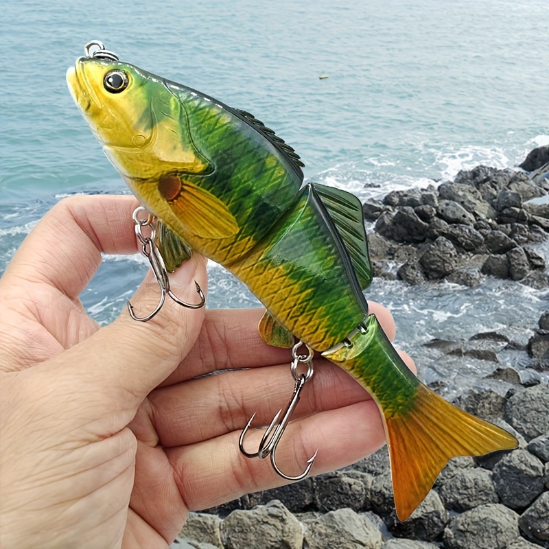 datachache fish pole Ketch-All Poles