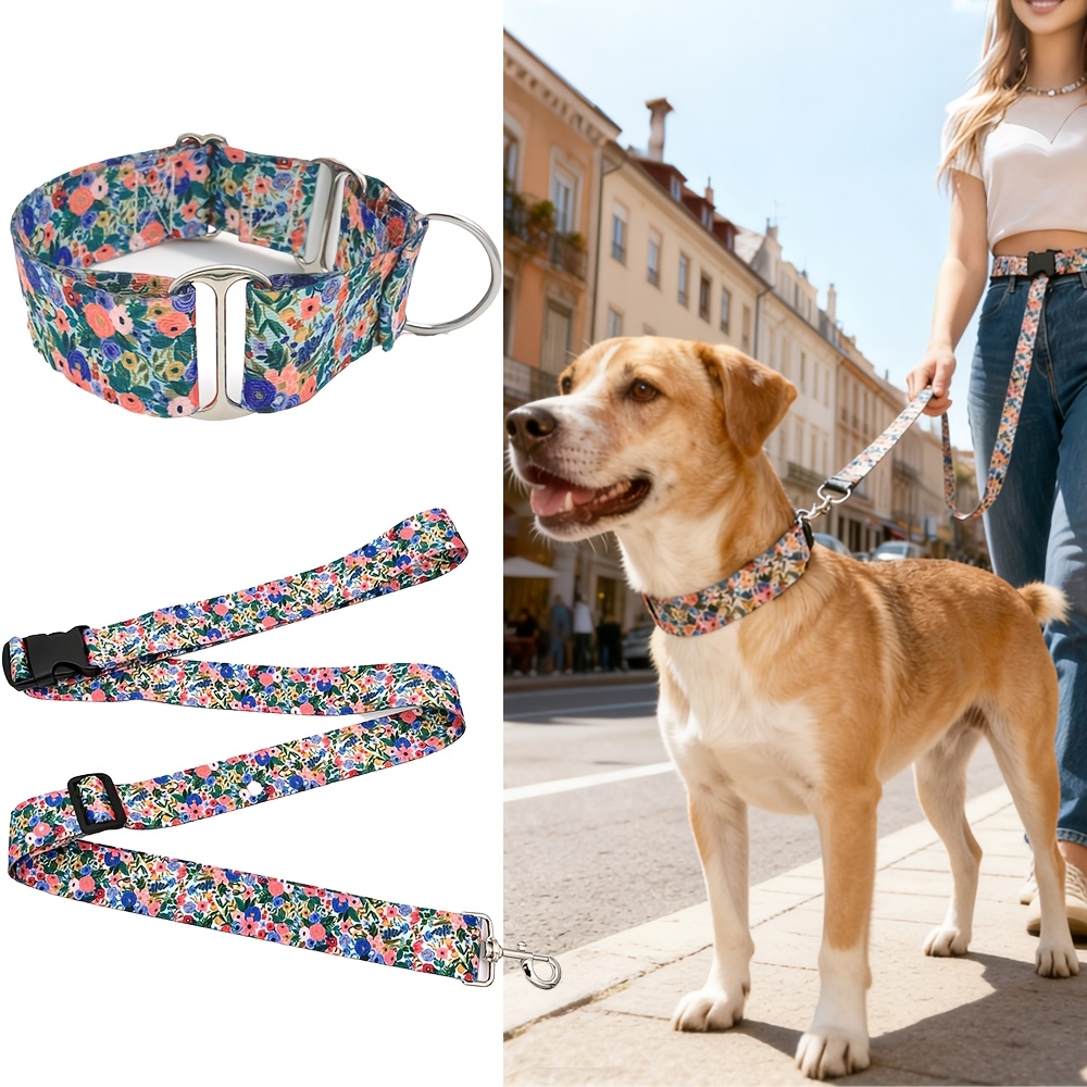 Multi-Functional Dog Collar and Leash Set for Outdoor Walks