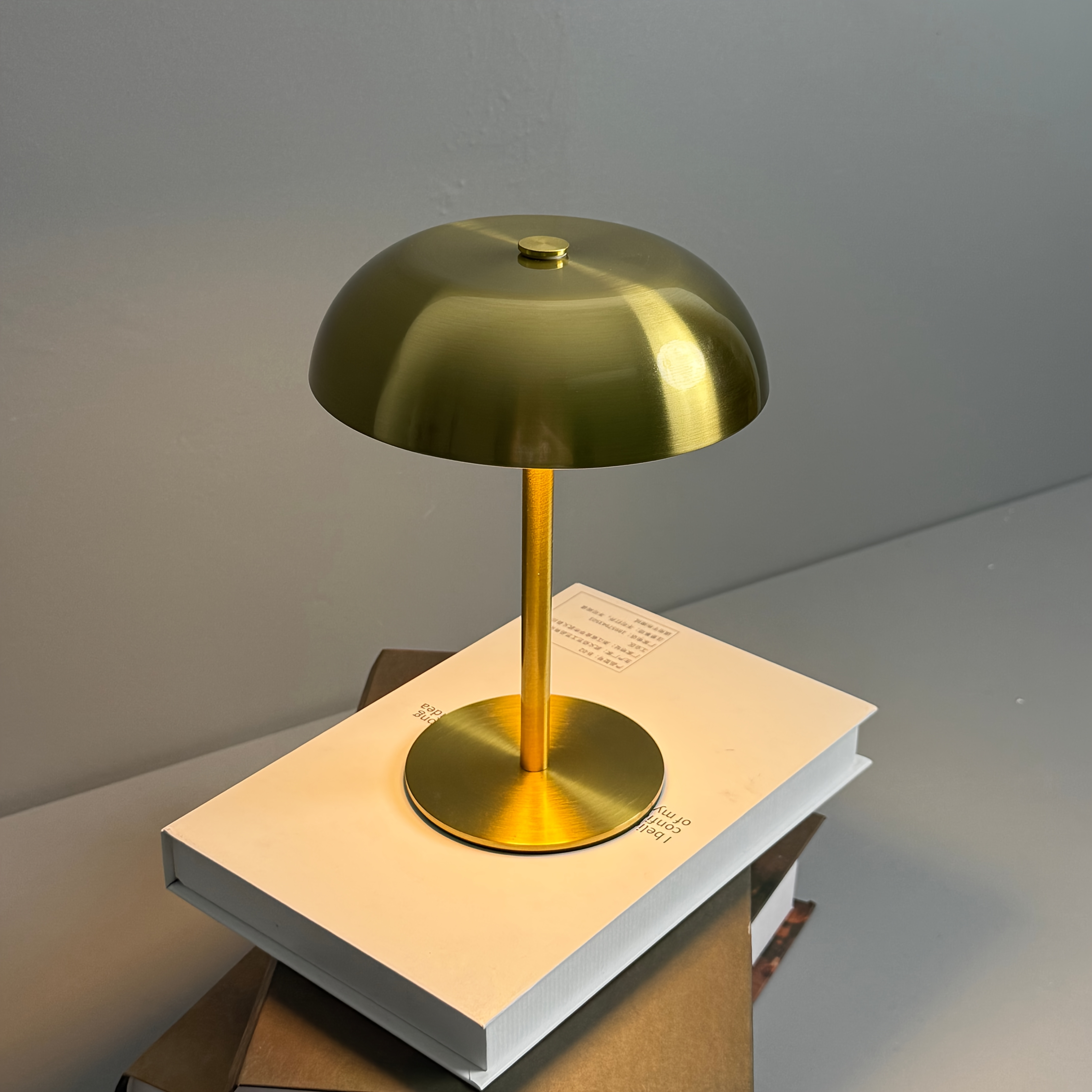 TEMU 1pc Desk Lamp, Table Lamp, Interior Decorative Lamp, Cordless Desk Lamp, Rechargeable Desk Lamp, Reading Lamp, Office Lamp, For Office, Study,