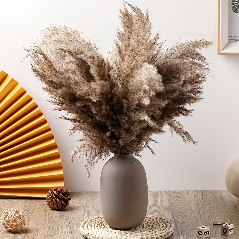 Image of 21pcs Natural Dried Pampas Grass Decoration, Small Short Pampas In Bulk For Farmhouse, Wall, Kitchen, Bedroom, And Office Decor (43.18cm) Natural Dried Plant Decoration