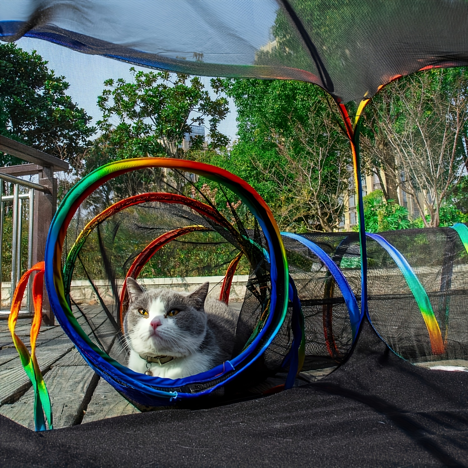 Buiten Speeltuin voor Katten, Indoor Speeltent Regenboog, Ronde Speeltunnel voor Katten, Geschikt voor Katten en Kleine Dieren