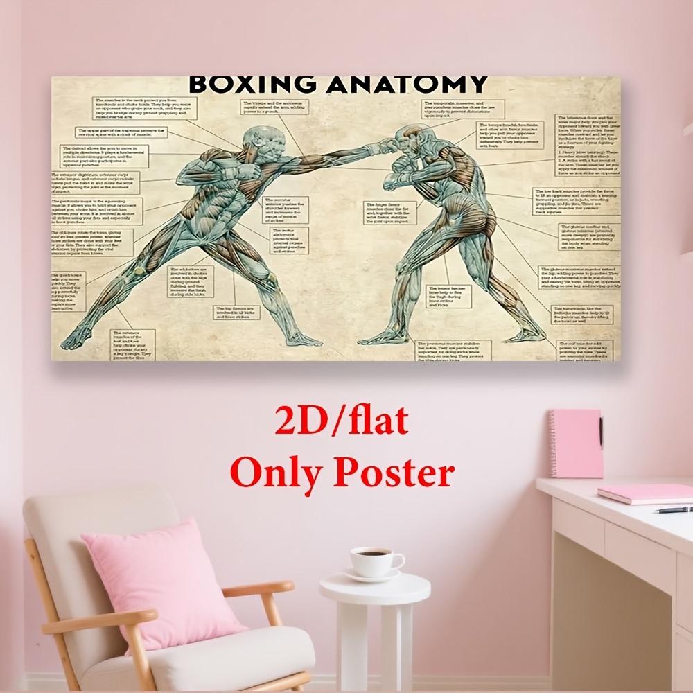 BELECO 1.5x1m Stoff -Boxhintergrund,Boxring,Boxarena,Bühnenbeleuchtung,Sportfoto-Hintergrund,Boxparty-  Dekorationen,Geburtstag,Babyparty,Kuchen,Tischdekoration,Kinder-Fotoshooting,Fotostudio, image size:1000x1000