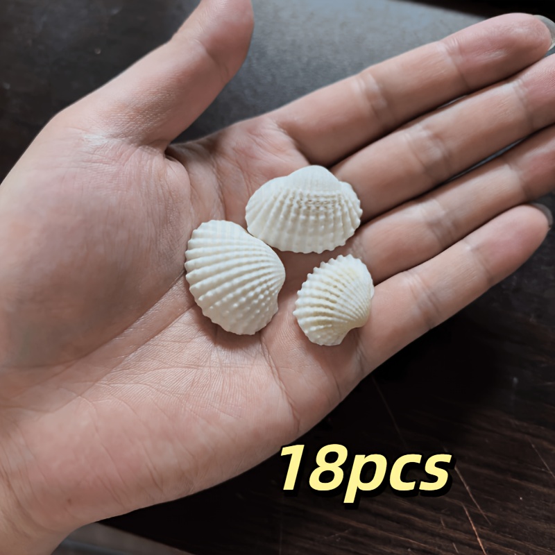 TEMU 18pcs Conch Shell, Snow Clam, And Aquarium Ornament Set