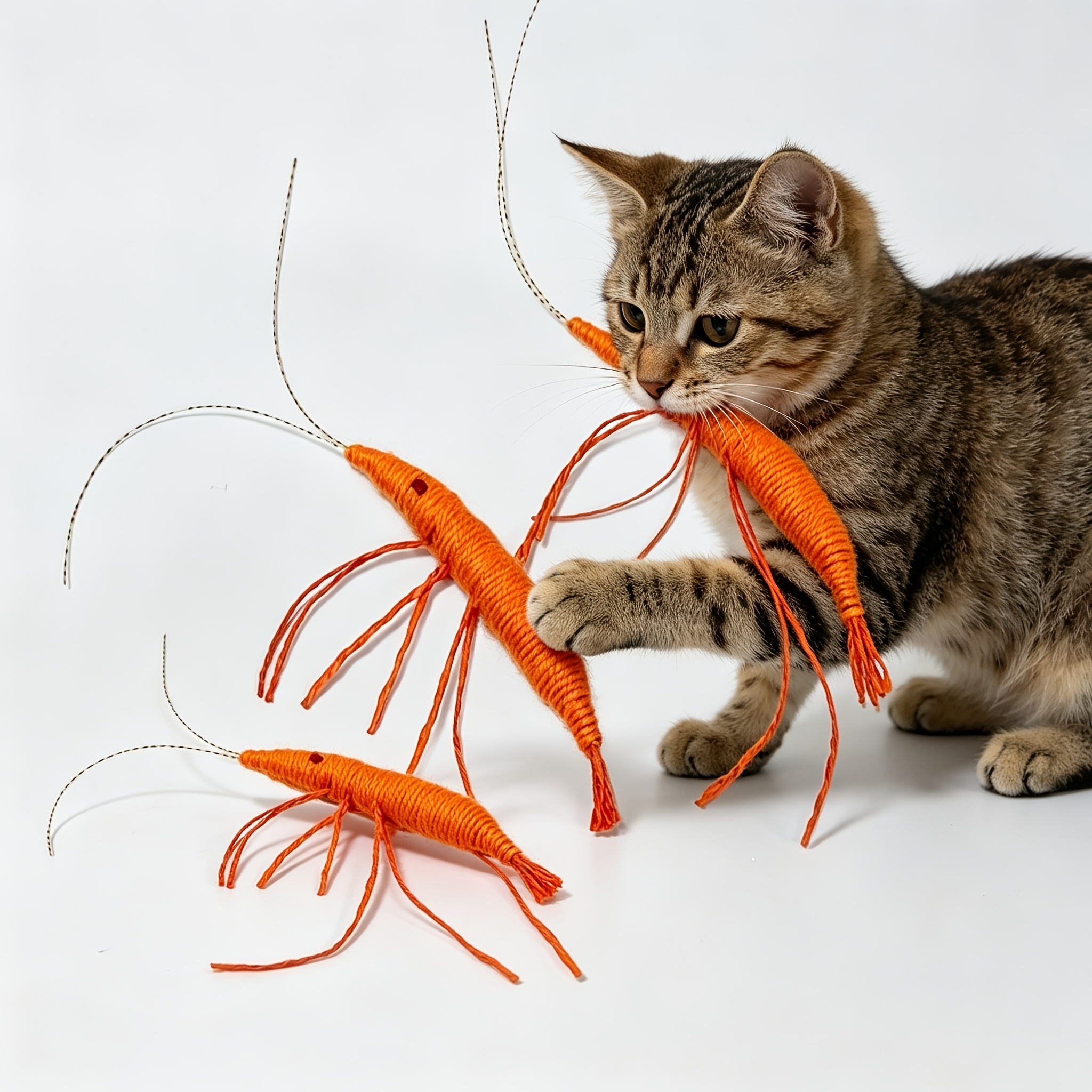 TEMU 3 pezzi di giocattoli per a forma di , adatti a gattini e , preda interattiva da caccia con , giocattoli in nylon da mordere per esercizi di