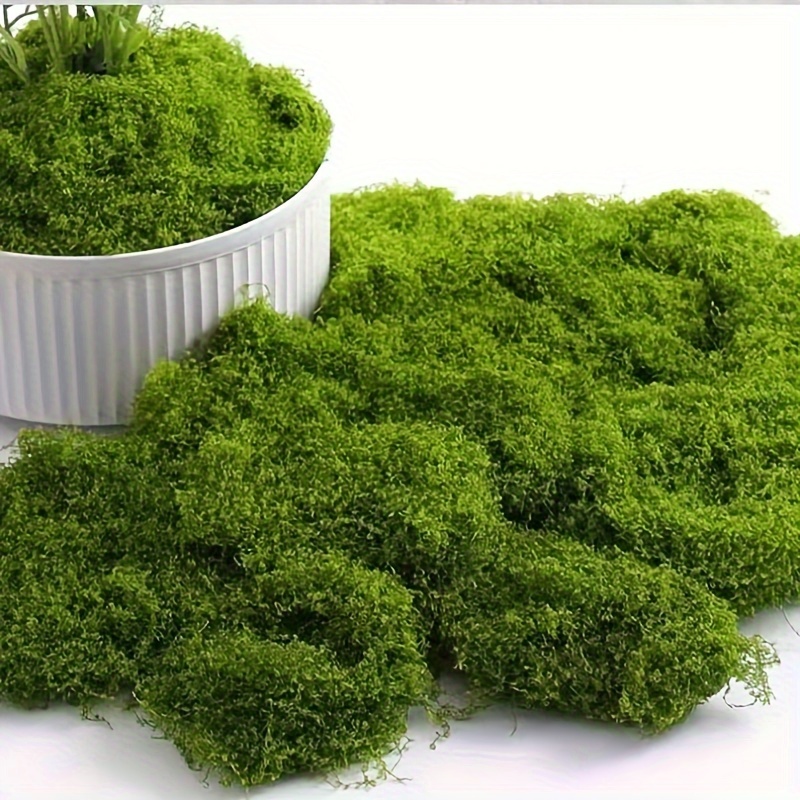 20gEternal Life Moss DIY Crafts Grass Artificial Green Plants Home Room Garden Decor Grass