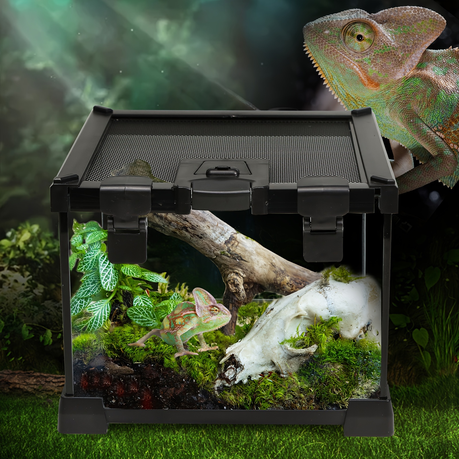 Aquarium Tank Kit Reptile Turtle Frog Lizard Snake Exo Animal Habitat for  sale online