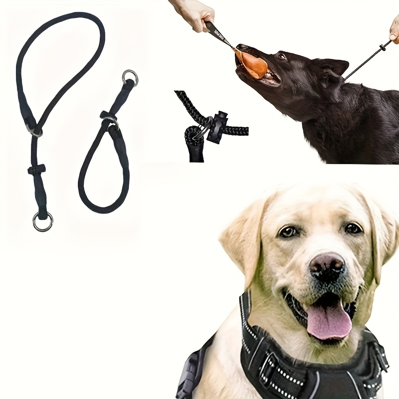 Choke Chain Best Collar For Labrador Dog Choke Collar Large Breed