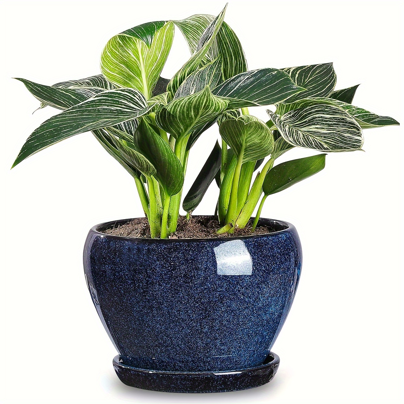 

Elegant 6.5" Blue Ceramic Plant Pot With Drainage Hole & Matching Saucer - Ideal For Succulents, Orchids, Herbs, - Classic Round Design For Home, Office, & Garden Decor, Orchid Pots