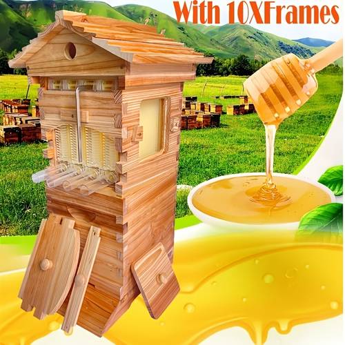 wood beehive small 100 beeswax petite box 10 4x plastic auto run honey 6x frames to manually extract honey protect the bees suitable for beginner beekeepers suitable for backyard and garden beekeeping