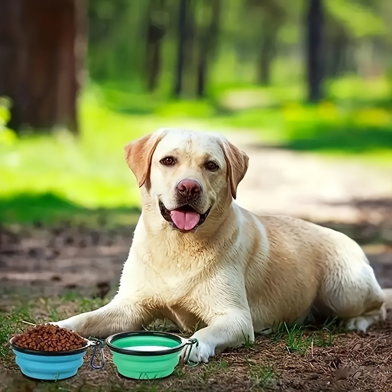1pc 2pcs dog bowl pet foldable bowl with lid dog travel bowl portable foldable cat water bowl suitable for pet walking parking camping light blue and green Product details 0