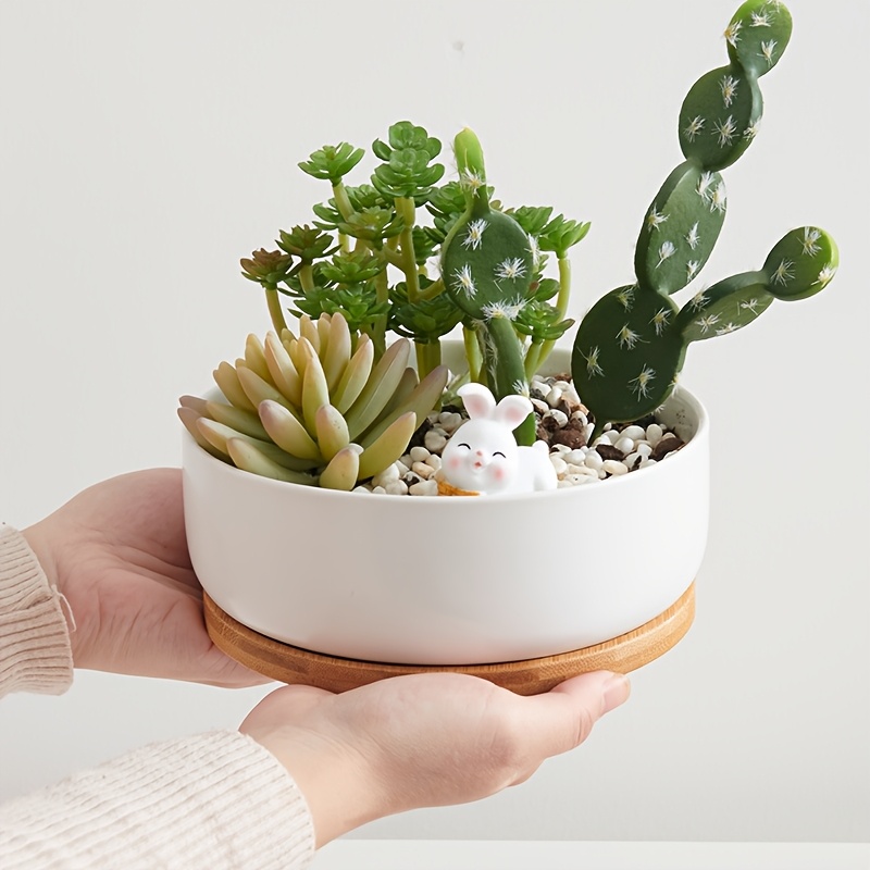 coloring succulents Coloring Activity Mother's Day Card: Succulents – Kudzu Monster