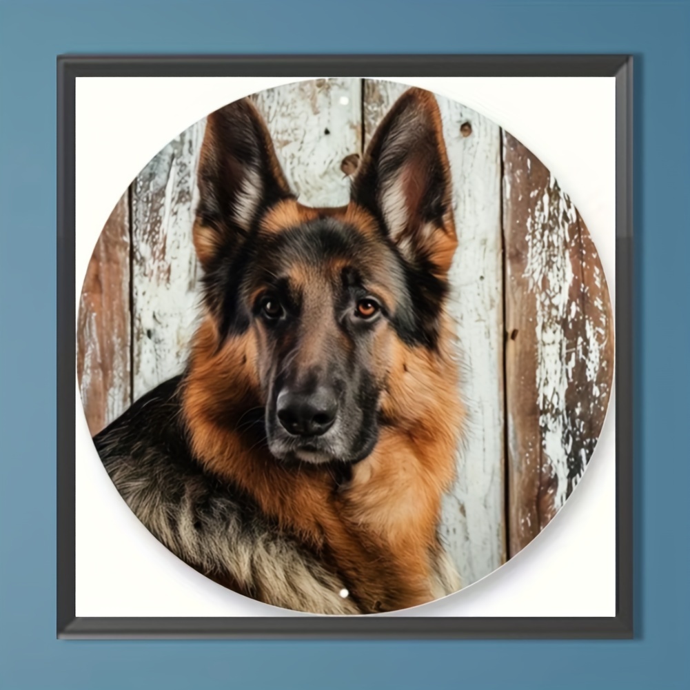 Kit De Peinture Diamant 5D à Faire Soi-même - Pour Les Amateurs Et