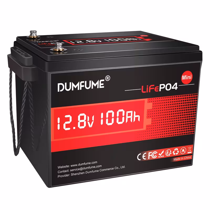 a 12v 100ah lifepo4 lithium battery with built in 100a bms 1280wh up to 6000 cycles 10 year very suitable for rvs solar energy marine use and storage 0