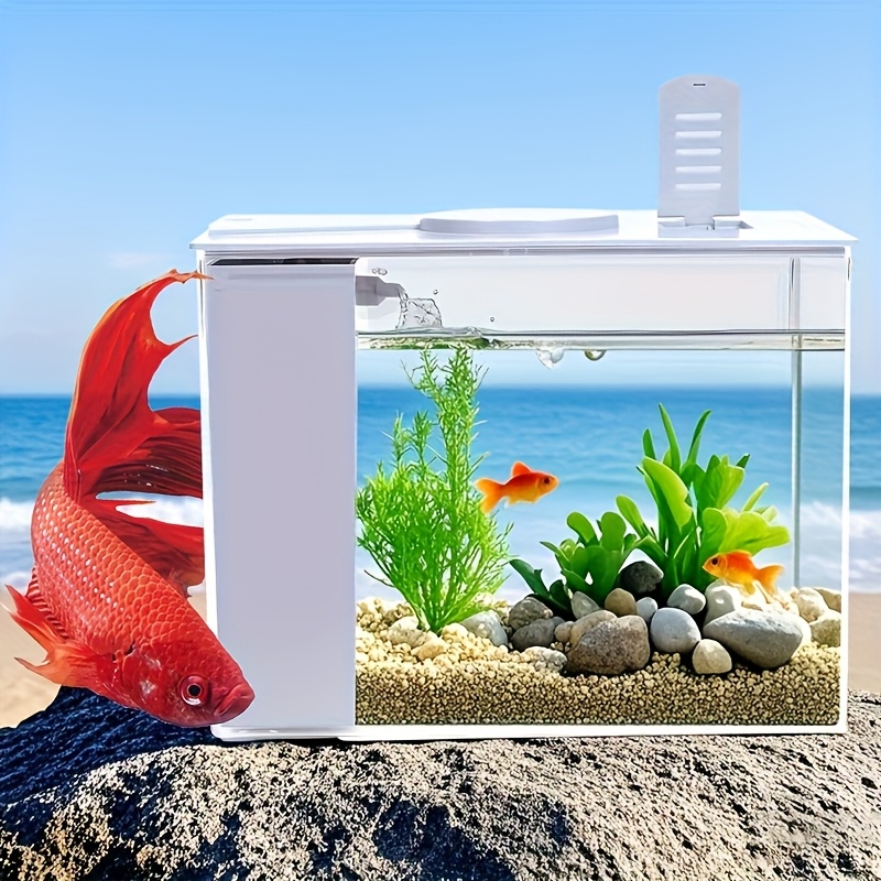 Catch And Release Beach Aquarium,4Pcs Small Fish Transport Container