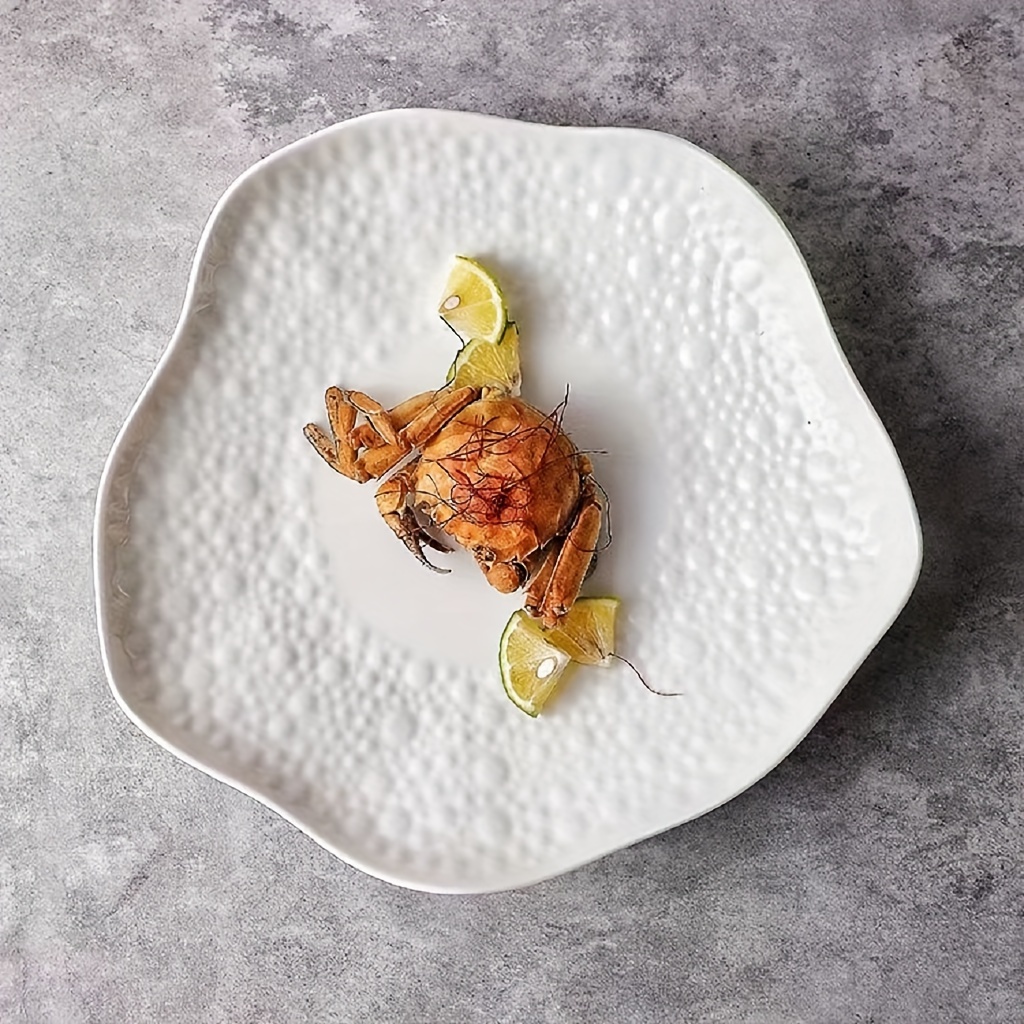 1pc Ceramic French-Style Fan Plate with Irregular Shape - Elegant Asymmetric Dish for Steak, Salads, Pasta, Desserts - for all types of cuisines (Modern for special occasion or Everyday Dining)