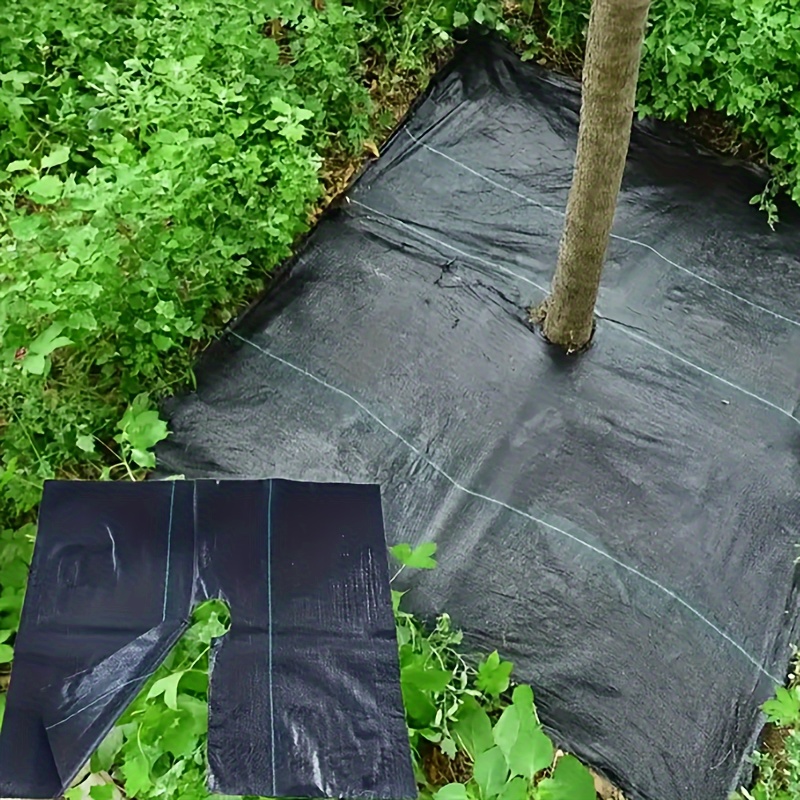 

10pcs, Cloth, Weeding Cloth, Orchard Supplies, For Landscaping Orchard, Protecting Plants Growing Cover Cloth, Black Water Permeable Breathable Cloth, Pad, Orchard Cloth