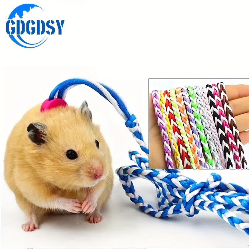 

Gdgdsy 2- For Small - 4-foot For , , , Guinea Pigs, , And - Pet Walking