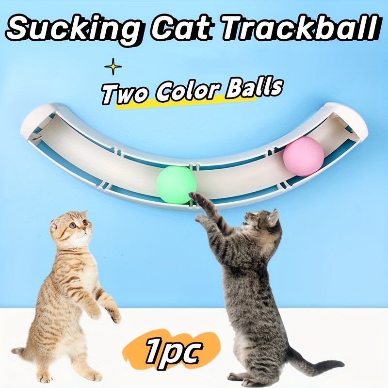 

1pc Track Ball Cat Toys, Educational Cat Toys With Pong Balls Pet Toys