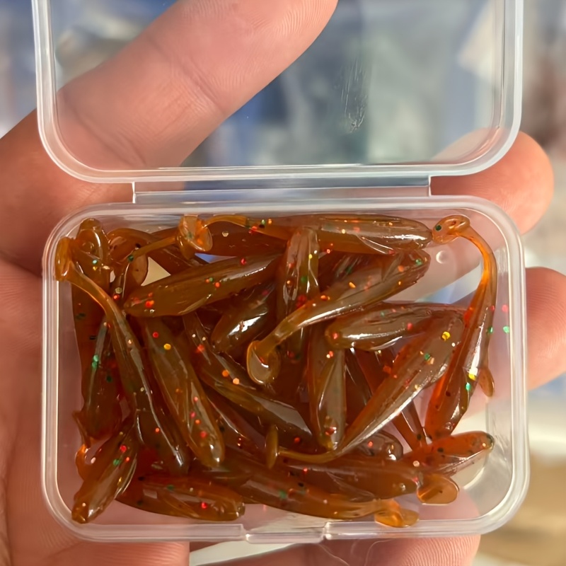 TEMU Esche morbide 7 colori 3,5 cm/1,38 pollici 30 pz, Micro esca, Esche morbide multicolore con a T, morbidi con a T, Esche morbide con a T esposta,