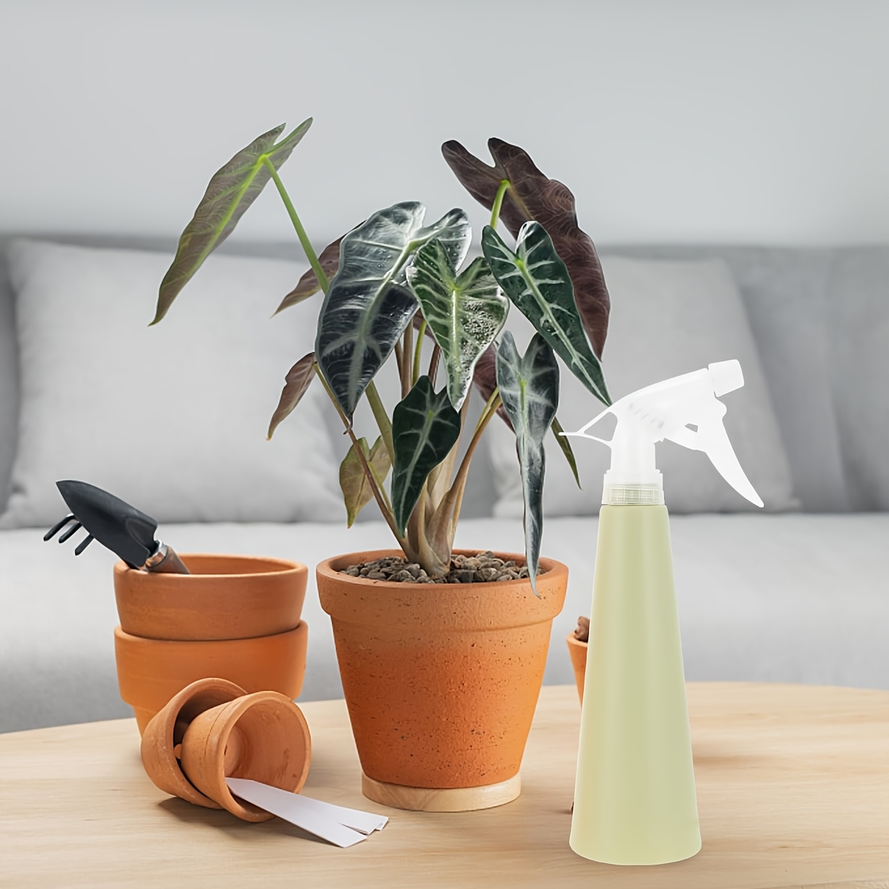 2 pack gardening spray pots lightweight watering cans for indoor succulents and outdoor plants   and durable for home and balcony gardening Product details 5