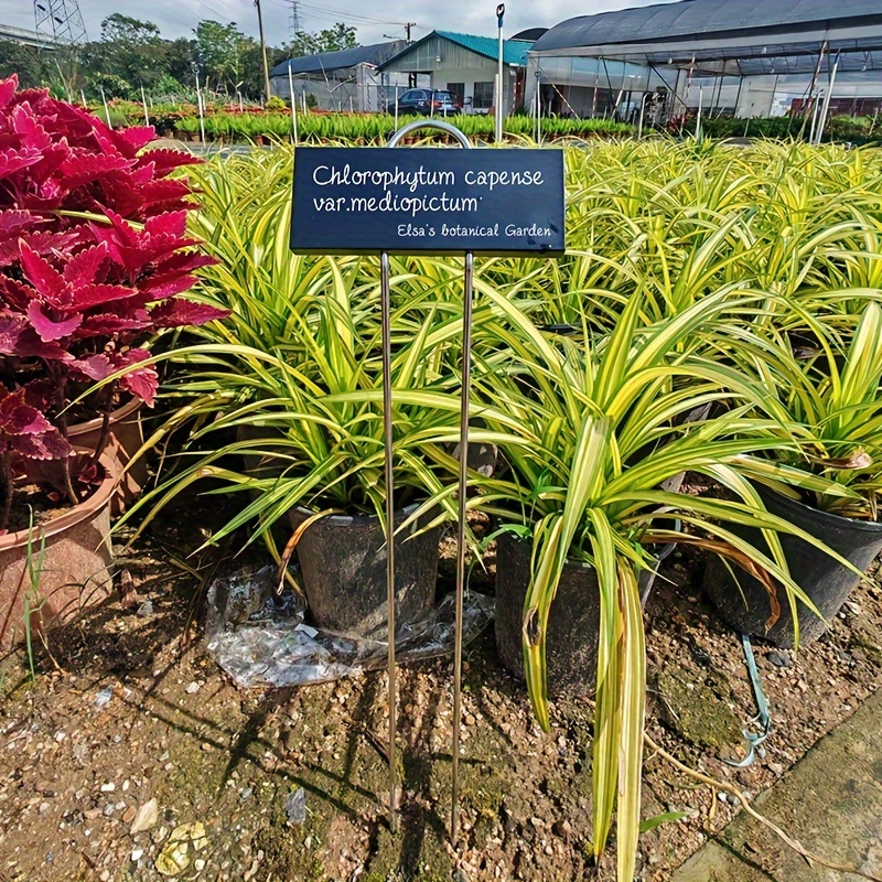 50 Alu-Pflanzenetiketten Für Garten & Gewächshaus - Wetterfest & Praktisch
