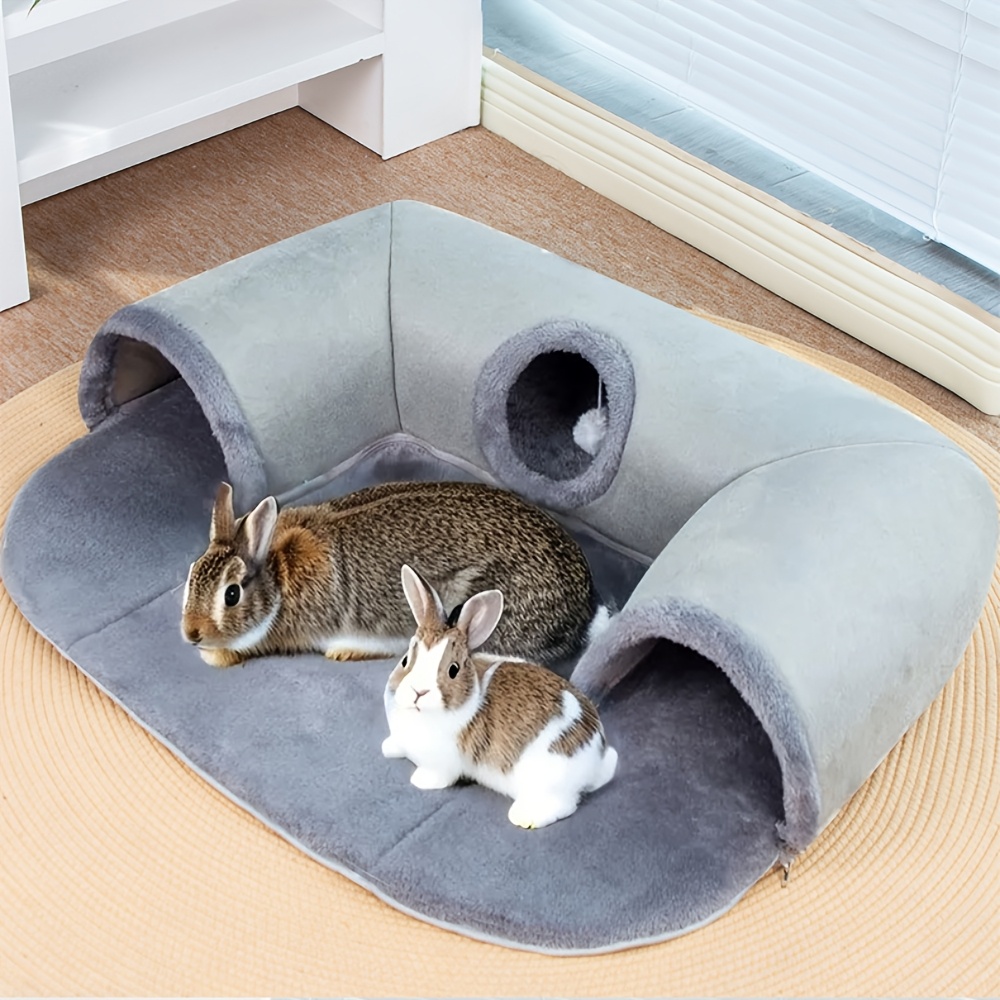 5123ea49 88aa 4da4 9708 F4d4b7a7c672