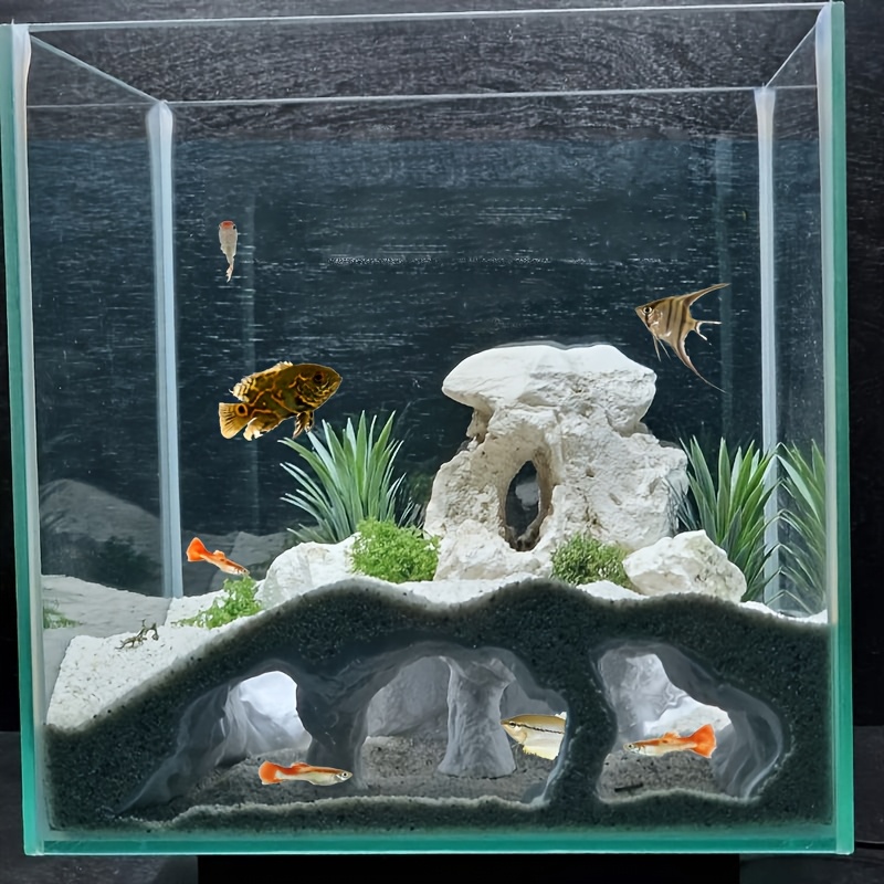 Aquascaping With Juvenile Fish Protection: Ultimate Guide to Safe Tanks