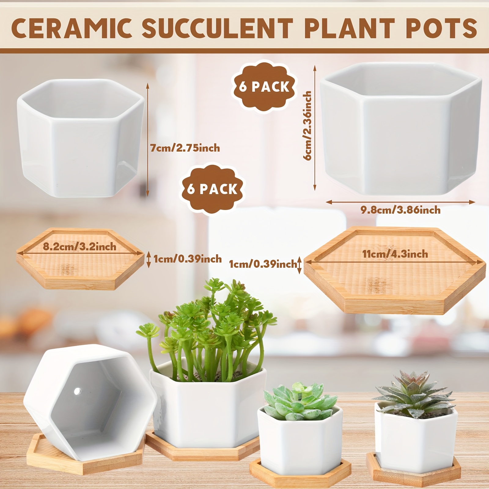bulk set 12 small succulent pots made white ceramic - Temu