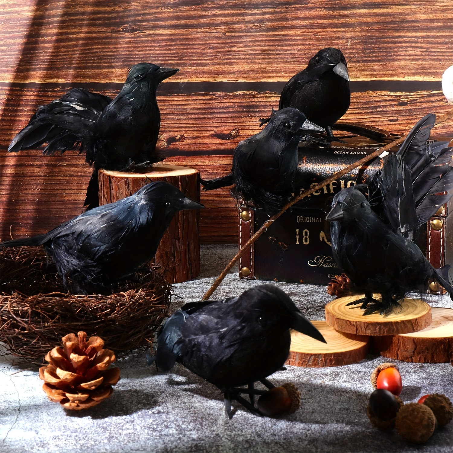 

Vintage Style 5-piece Black Set With Lifelike Artificial Feathers - Party Decor Props, Realistic Touch Plastic Crows For Seasonal Indoor Decorations Without Electricity Needs