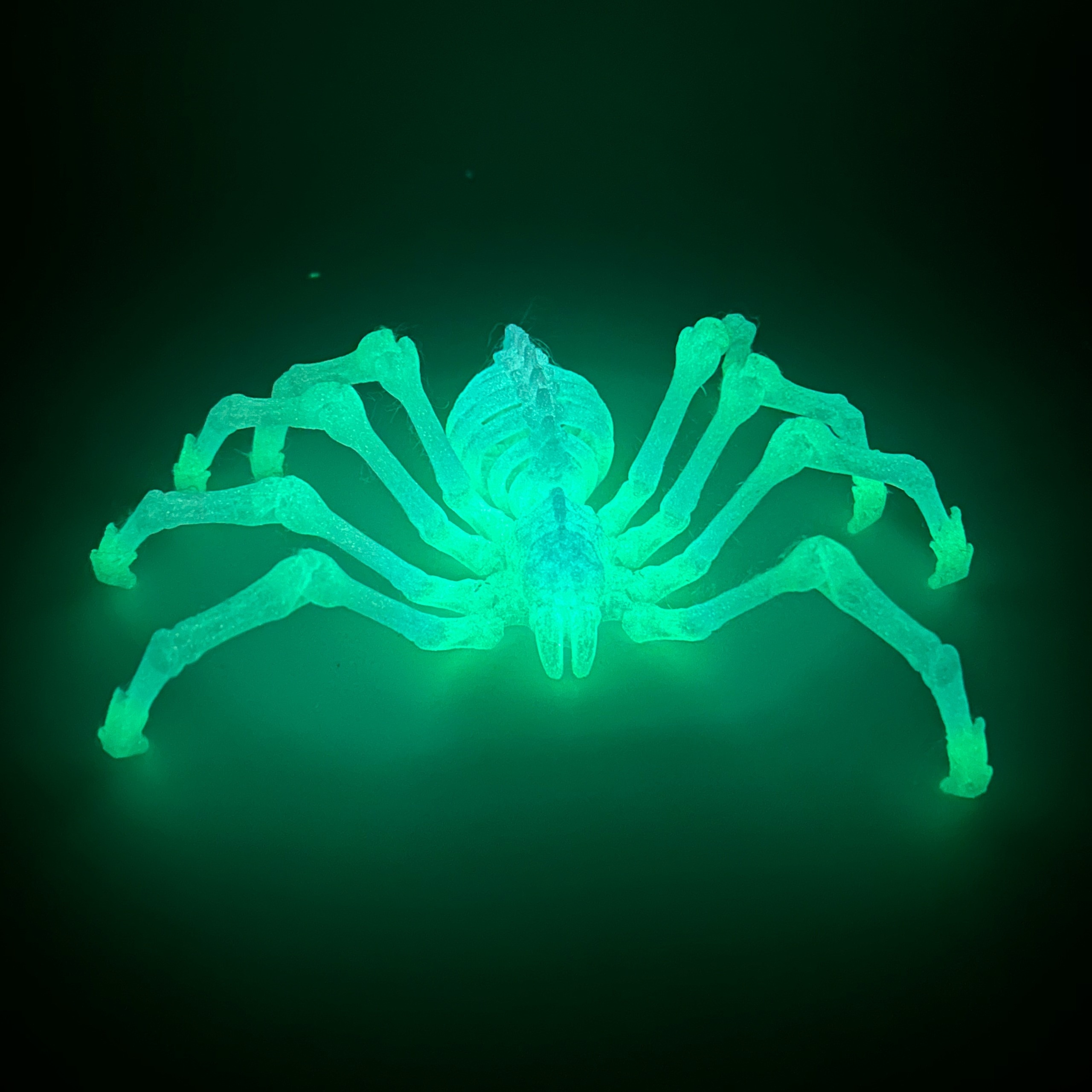 

Fluorescent 3d Printed Articulated Spider Toy, Large Movable Plastic Spider Figure, Retractable Limbs, Creative Ornament And Educational Model