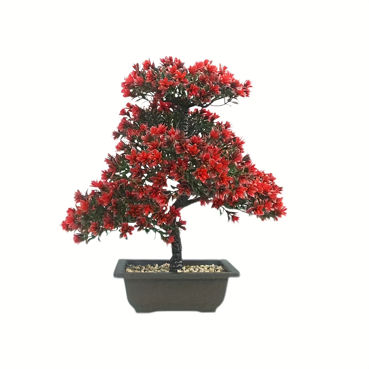 video's neppe dennenboom met plastic pot