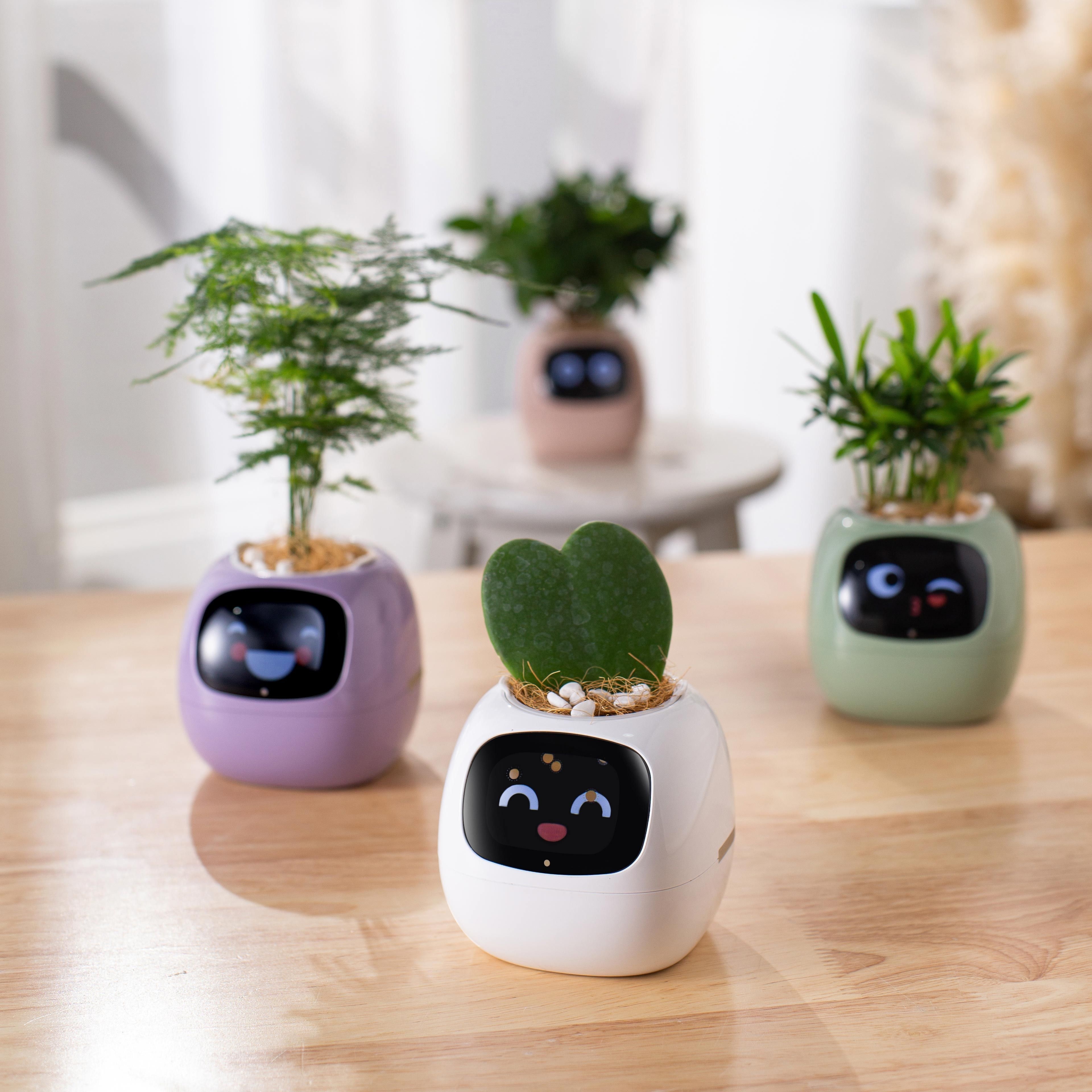 

Ivy Intelligent Flower Pot For Home Decoration Plants Companion Neat Desk Setup Pet Planter Robot Guidance On Plant Care With Emojis