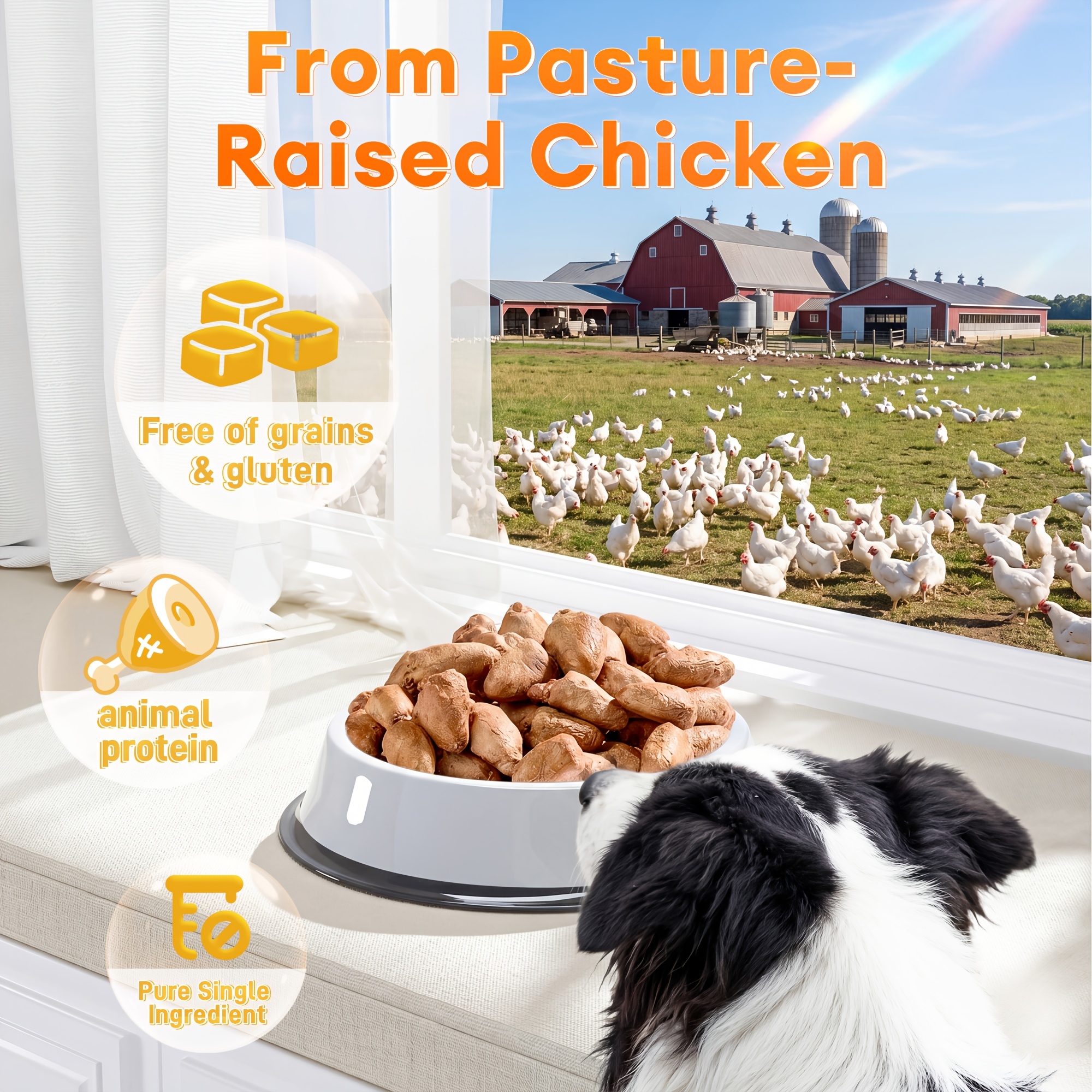   freeze dried chicken hearts   treats 17 63 oz 1 1 lbs high protein single     no additives preservatives training rewards and   topper Product details 1