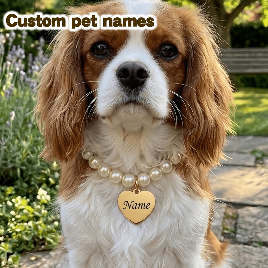 Custom Engraved Dog Collar with Heart-shaped ID Tag