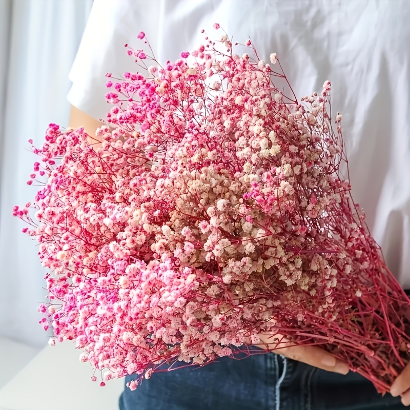 4710 Dried Baby's Breath Flowers | 90+pcs Pink Gypsophila Bulk Dried Bouquet For Crafts, Wedding Decor, Decoration, Vase Arrangement, Invitation, Resin Candle Making, Rustic, 70g Flower Decoration