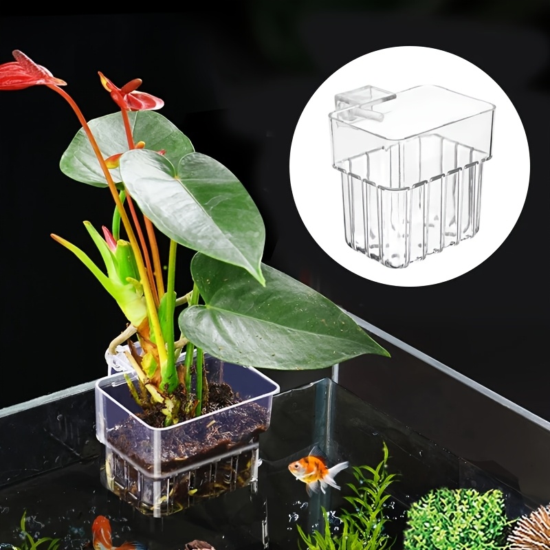 hanging aquarium planter cups wall mounted aquatic plants - Temu