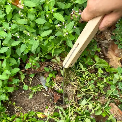 Long Thin Rake garden tools sold on Temu Philippines