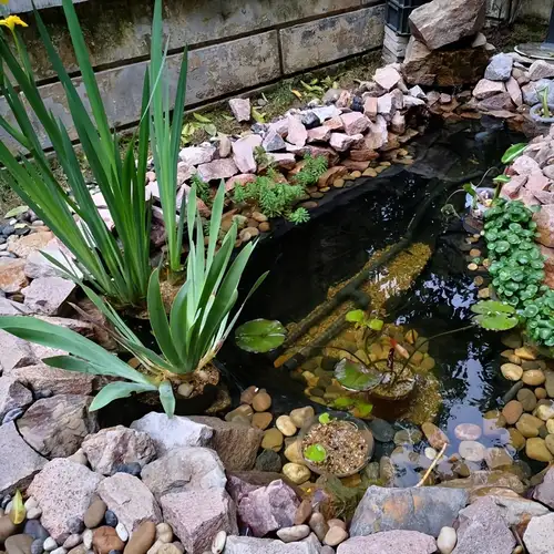 fish pond accessories sold on Temu New Zealand fish pond accessories sold on Temu New Zealand