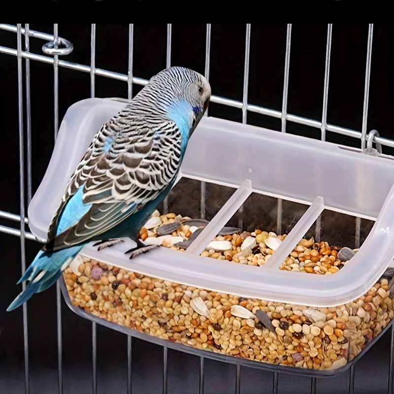 

Bird Feeder For Parrots & Small To Medium Birds - Eva, Easy-refill Food Dispenser With