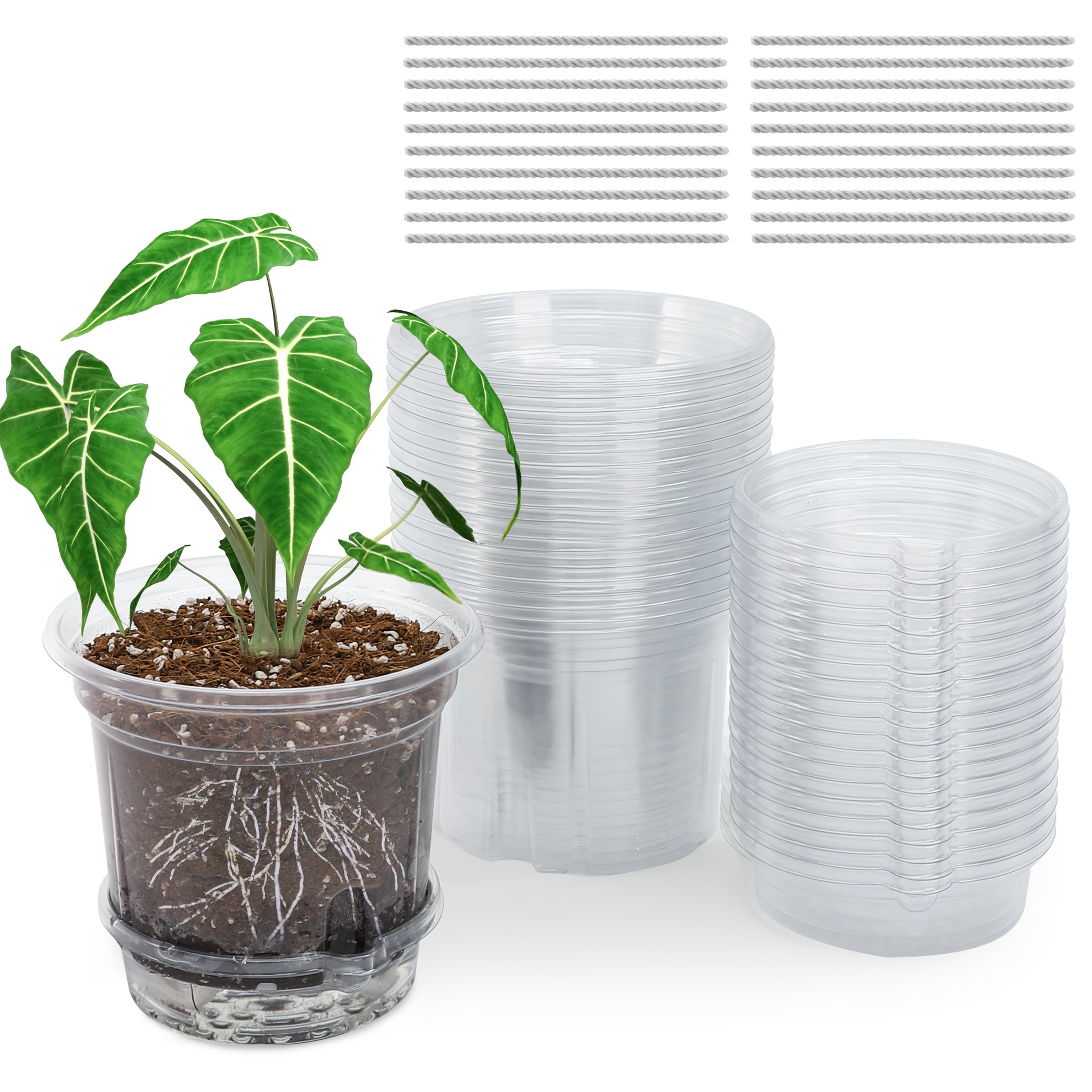 20 Packs 5 Inch Clear Plant Pots, Plastic Self Watering Planters With Drainage Holes, Deep Reservoir, Transparent Nursery Pots