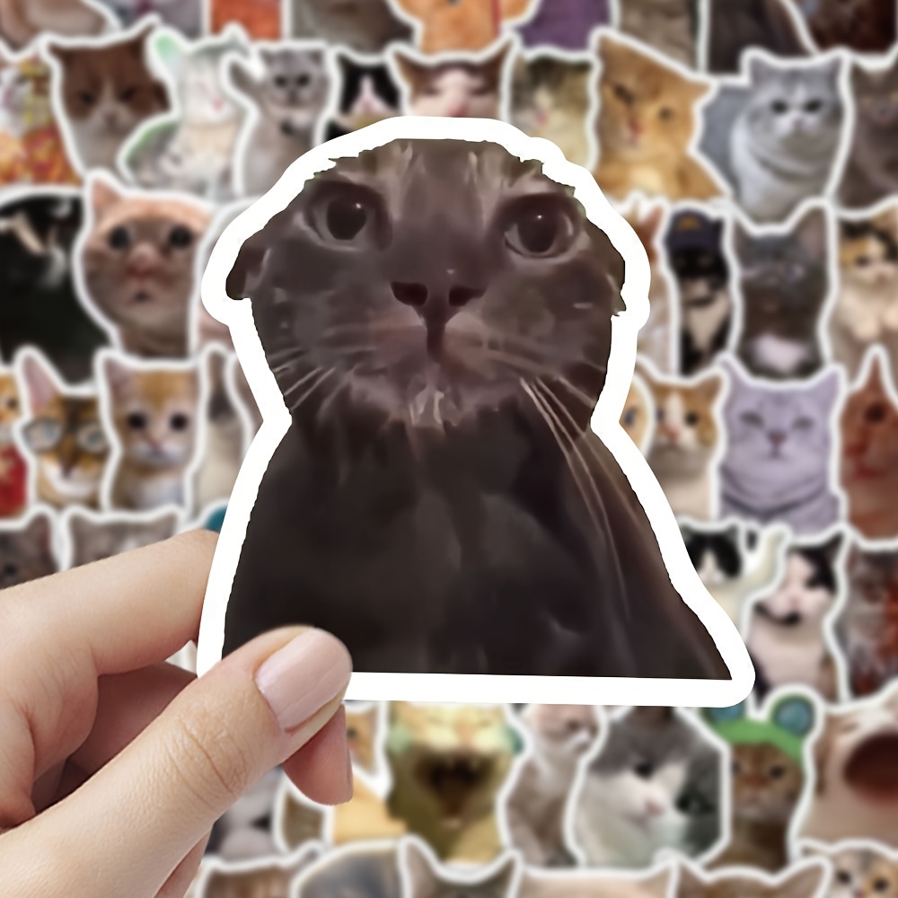 101pcs meme cat stickers waterproof self internet Temu United