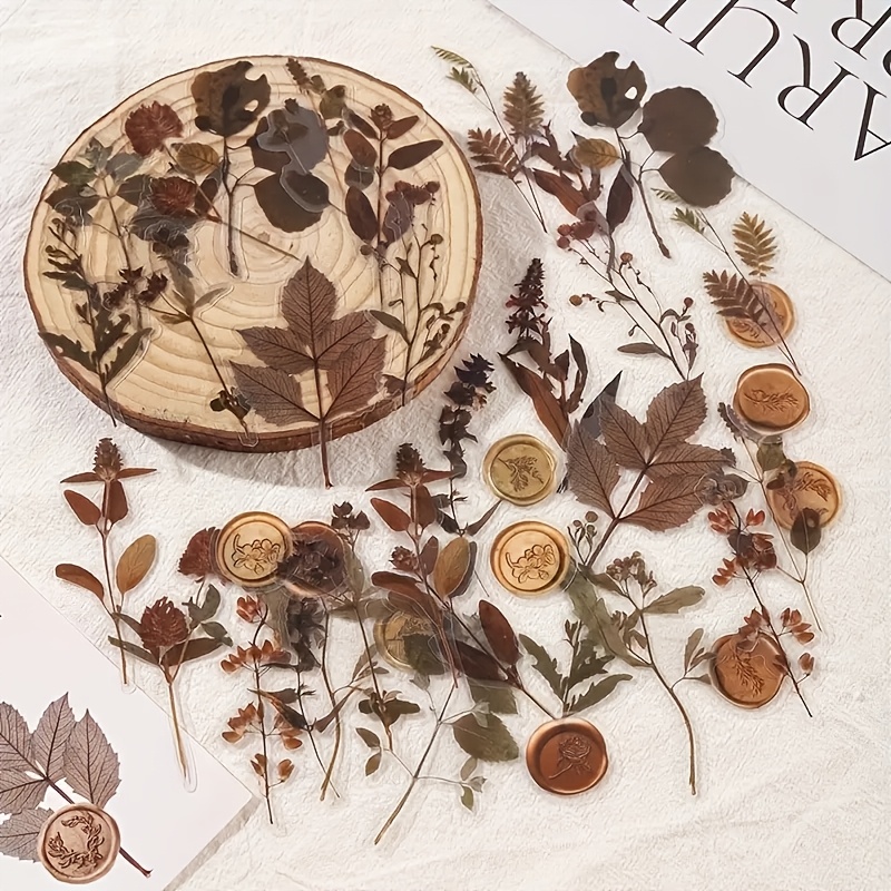 TEMU Lot de 40 autocollants PET séchés, série collection de fleurs séchées, et florales, pour scrapbooking et décoration