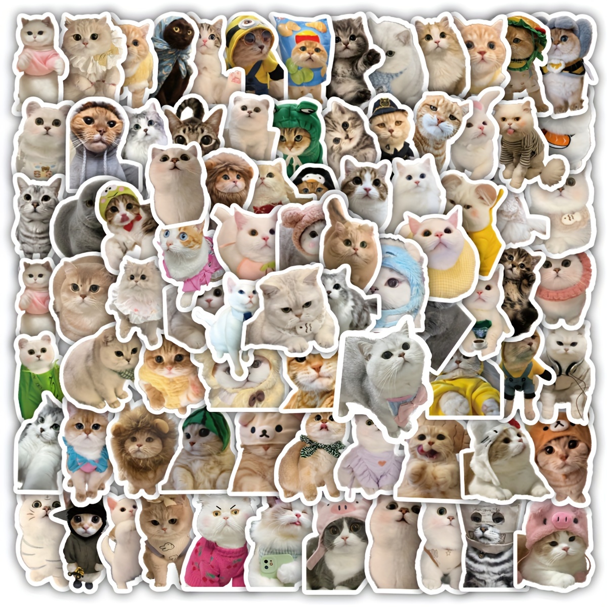 100pcs Cat Animals Stickers Vinyl Aesthetics Stickers For Scrapbooking, Diary, Laptop, Bumper, Skateboard, Water Bottle, Computer, Phone, Cartoon, Hard Hat, Car Stickers And Decals