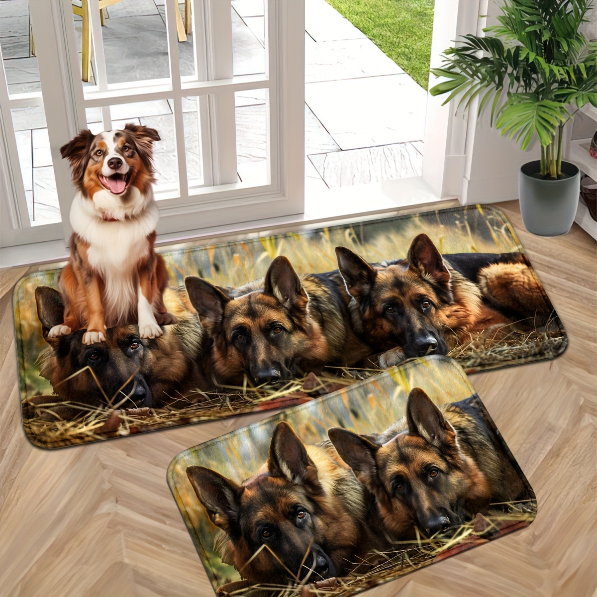 

Tapis d'entrée intérieur pour chien de , pour d'entrée et les intérieurs