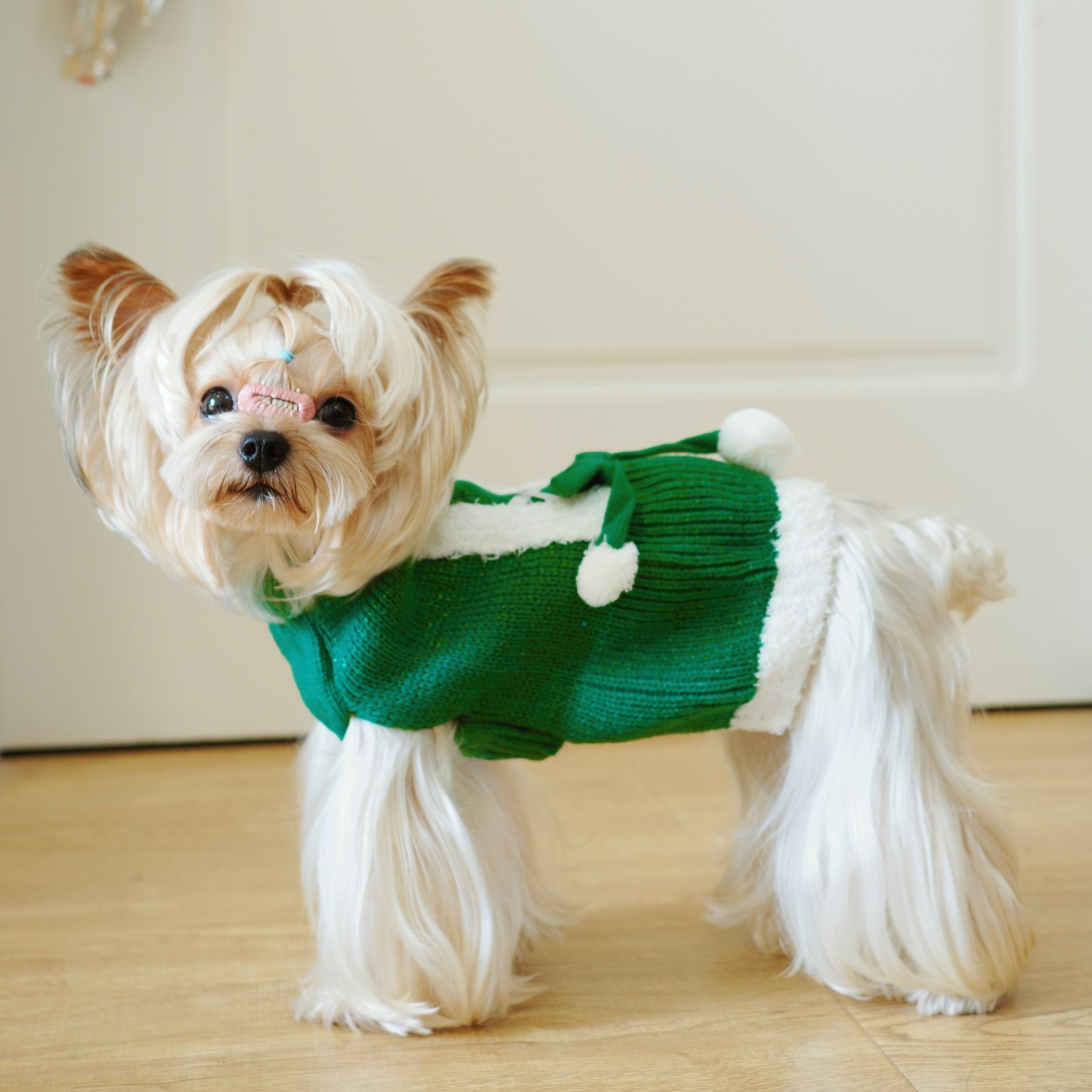 christmas red green knitted dress pet dog christmas costume - Temu Australia